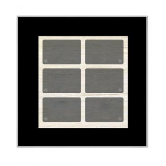 GT schwarz, mit 6 Tasten, 6 LEDs, integr. TS 