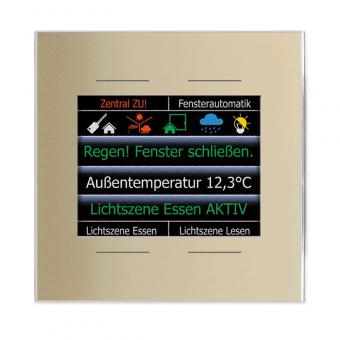 Glas-Farbdisplay 2,8-Zoll, champagner, 4 Tasten, integr. TS 