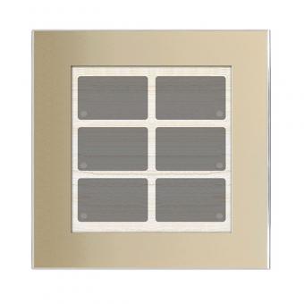 GT champagner mit 6 Tasten, 6 LEDs, integr. TS 