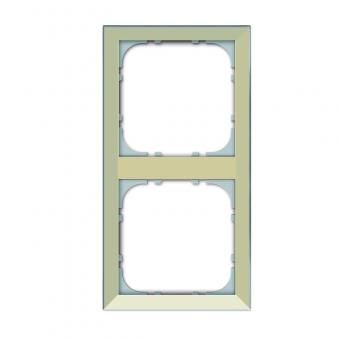 2-fach GT Rahmen, schlank, Einbau von Einsätzen System 55, champagner 
