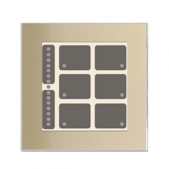 GT champagner mit 6 + 2 Tasten, 6 LEDs, BarGraph LED, integr. TS 