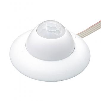 Détecteur de présence, connexion I 