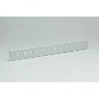 LWL Frontplatte Plus 1 HE 12 SC 