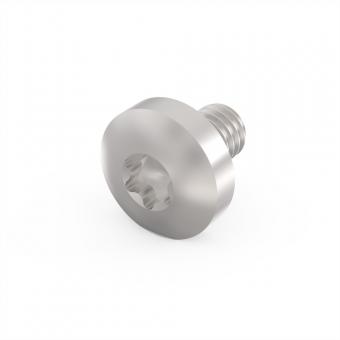 Linsenkopfschraube mit Torx, TORX-LINSKOSCHR M4X6 100ST 