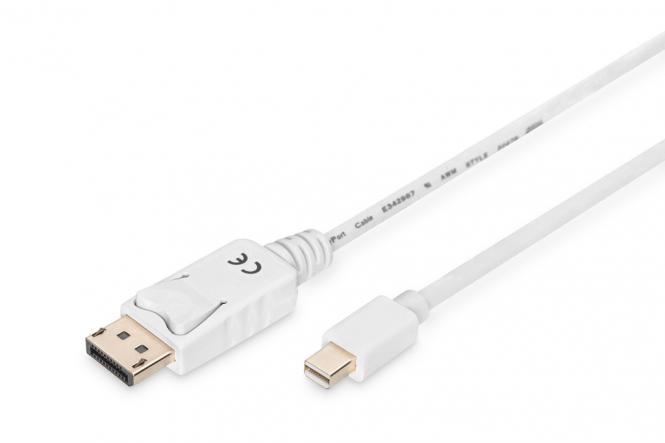 DisplayPort Anschlusskabel 