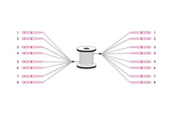 Vorkonfektionierte Breakout Kabel, Multimode OM4, 8 Fasern, LC/UPC 