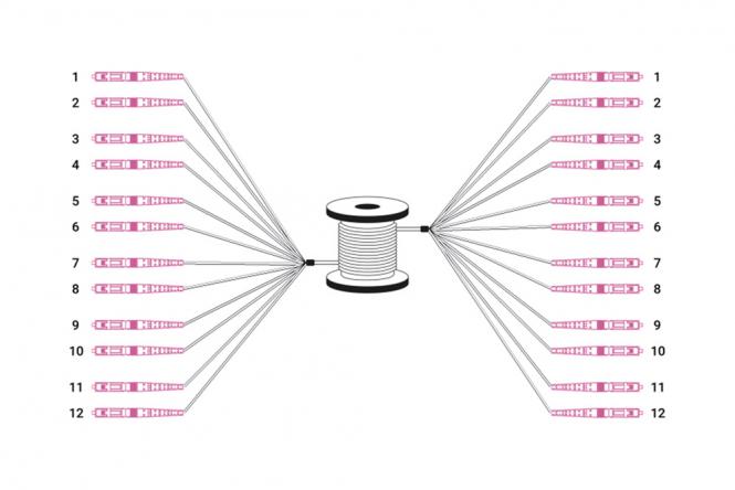 Vorkonfektionierte Breakout Kabel, Multimode OM4, 12 Fasern, LC/UPC 