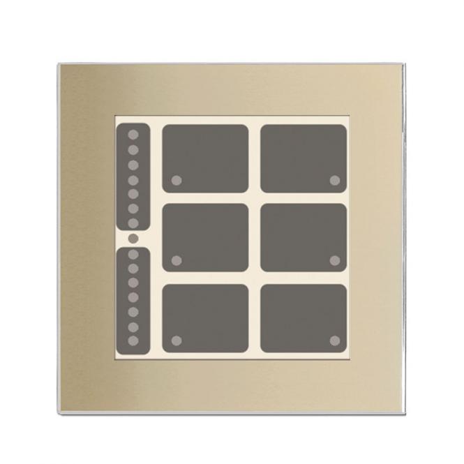 GT champagner mit 6 + 2 Tasten, 6 LEDs, BarGraph LED, integr. TS 