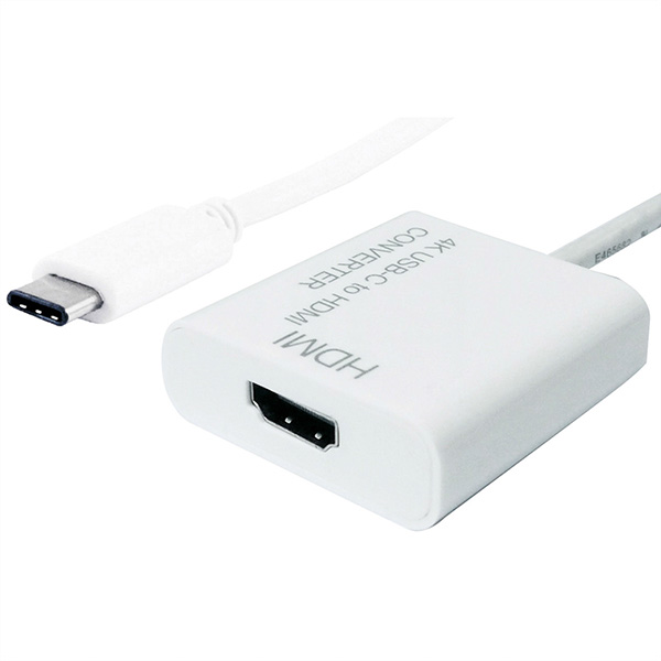 USB 3.1 Typ C zu HDMI Display Adapter 
