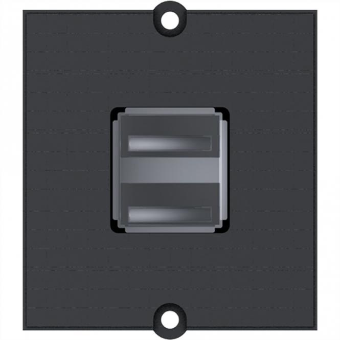 Rahmen 2xUSB A Schraubklemme 