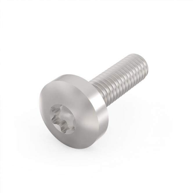 Linsenkopfschraube mit Torx, M4 x 14, 100 Stck. 