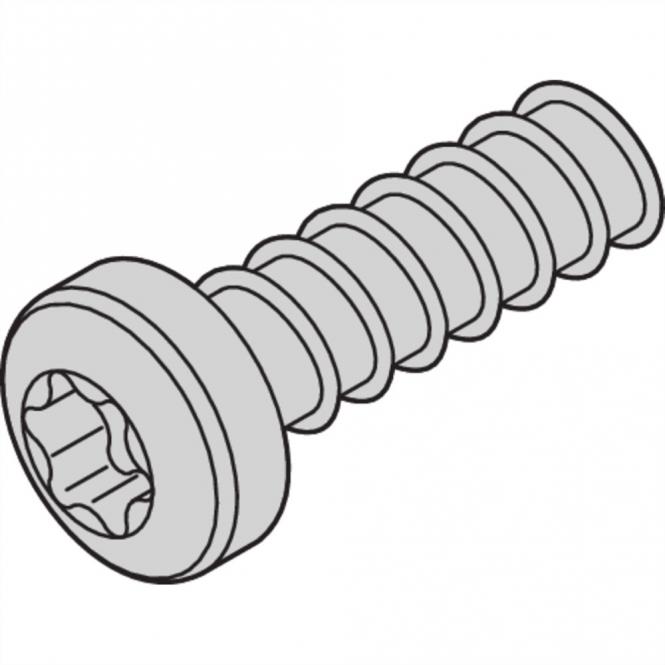 Linsenkopfschraube mit Torx, LIKOSCHR-TORX.2.5X7.3 100ST 