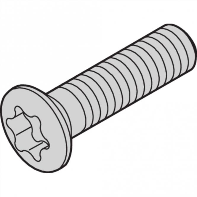 Linsenkopfschraube, LIKOSHR M2.5X10 PENTORX 100X 